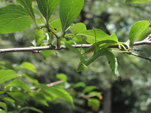 photo20.jpg