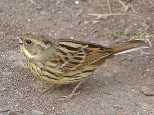 photo25.JPG