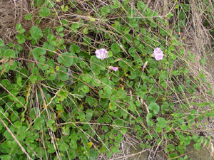 110625_3.jpg