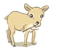 110825_2.gif