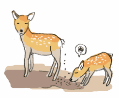 110825_4.gif