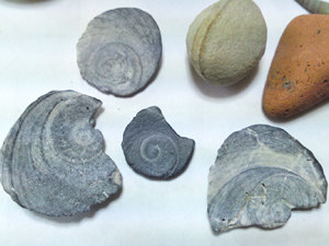 110930_6.jpg