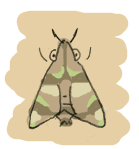 111124_2.gif
