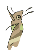 111124_3.gif