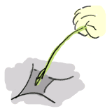 111125_5.gif