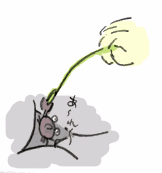 111125_6.gif