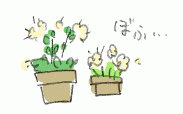 111230_3.gif