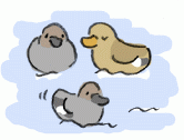 120125_3.gif