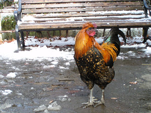120128_3.jpg