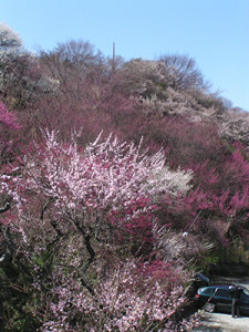 120325_3.jpg